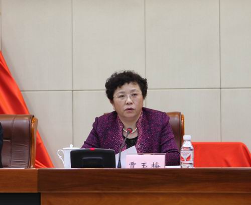 1黑龙江省委常委、副省长贾玉梅出席会议并讲话.jpg