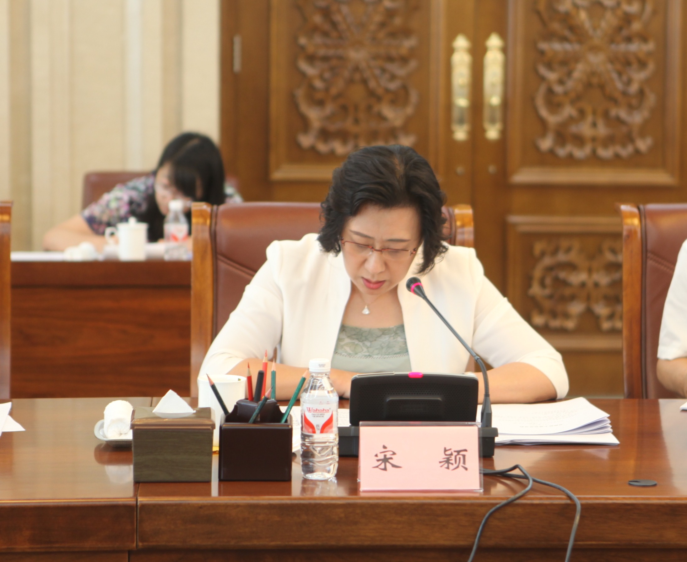 8省政协台港澳侨联络和外事委员会主任宋颖发言.jpg