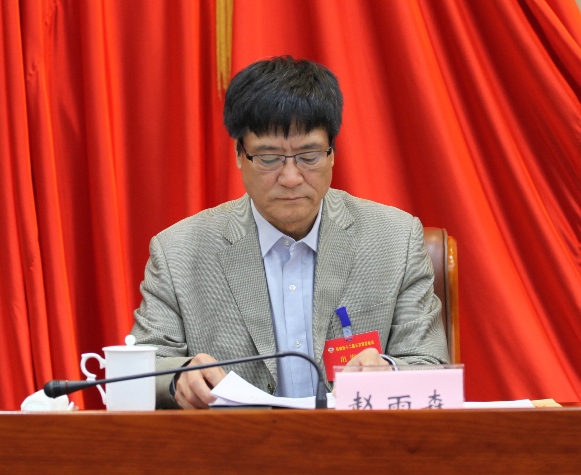 4省政协副主席赵雨森出席会议.jpg