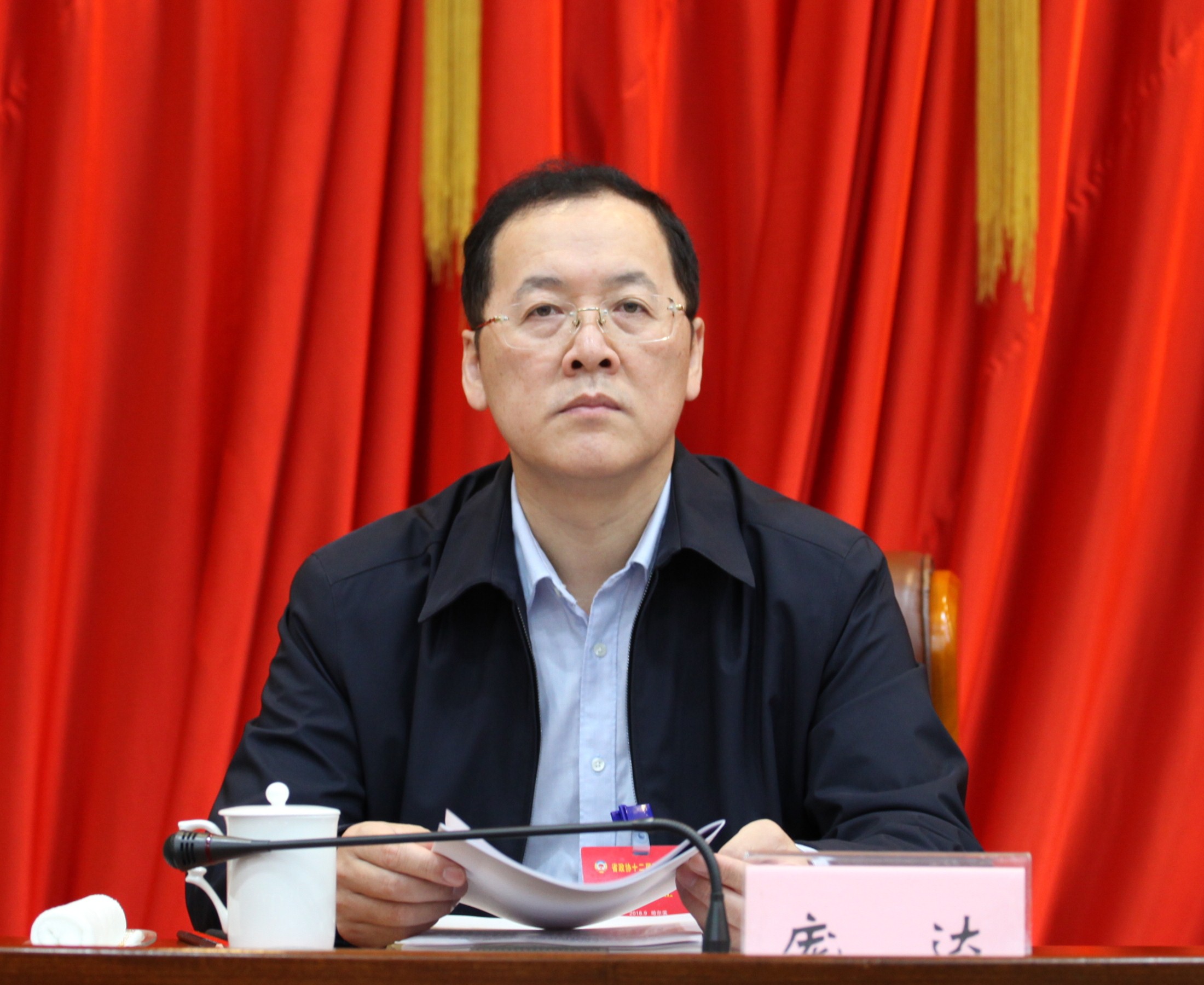 8省政协副主席庞达出席会议.jpg