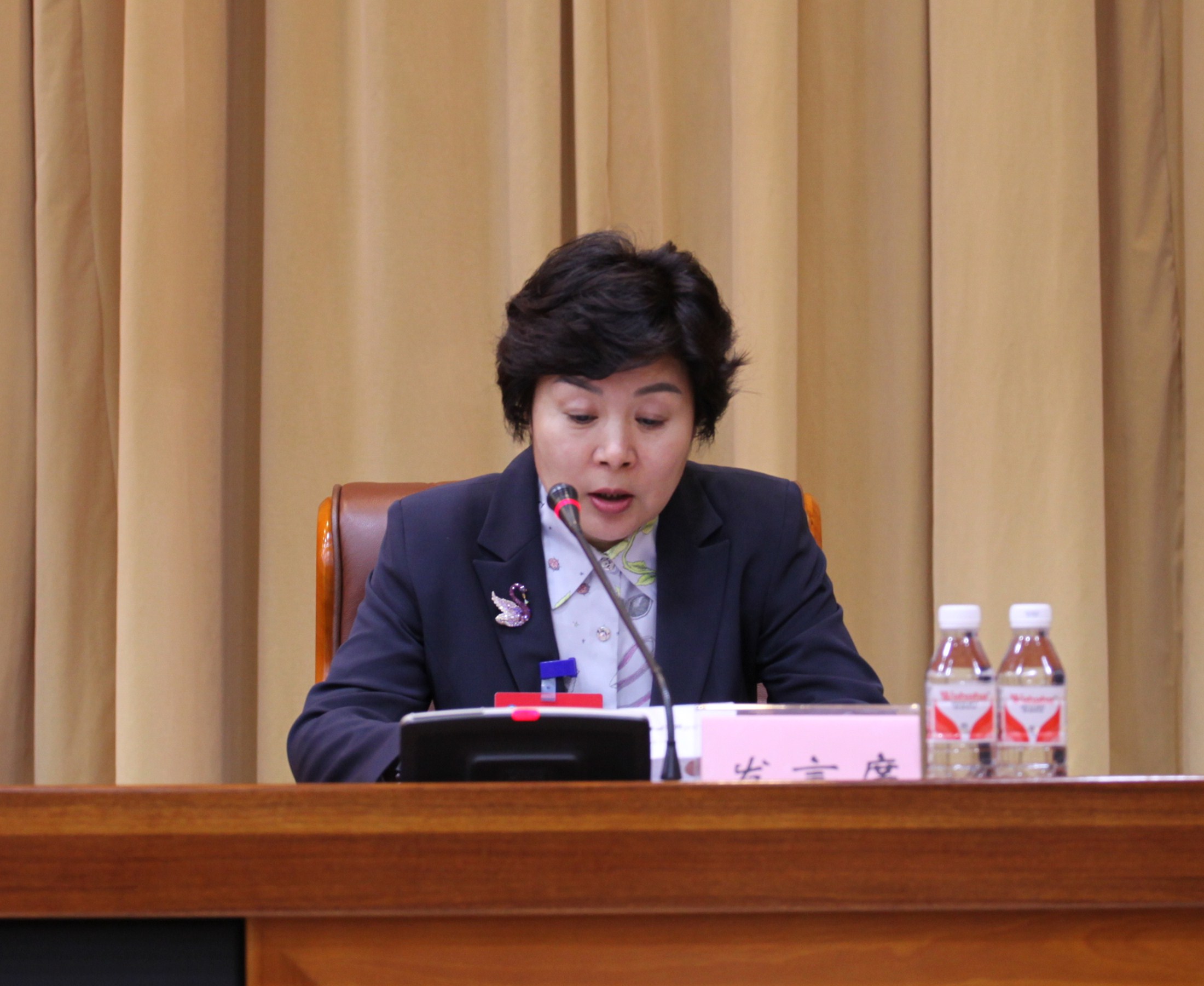 13省政协常委、省工商联主席张海华发言.jpg