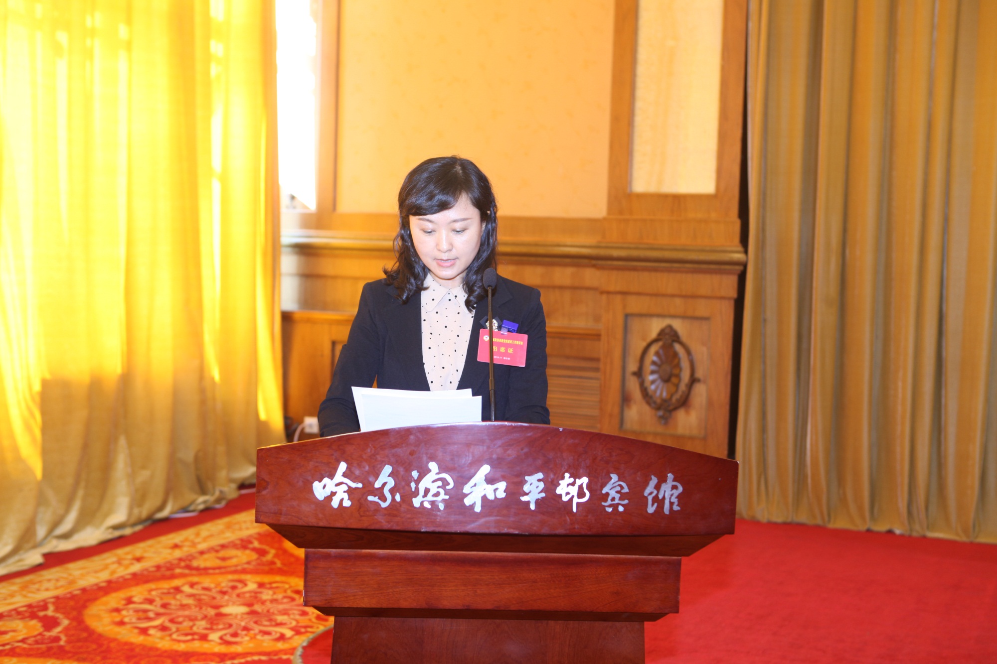 13大庆市政协委员、 市文化广电新闻出版局艺术科科长郑艺娜会上发言.jpg