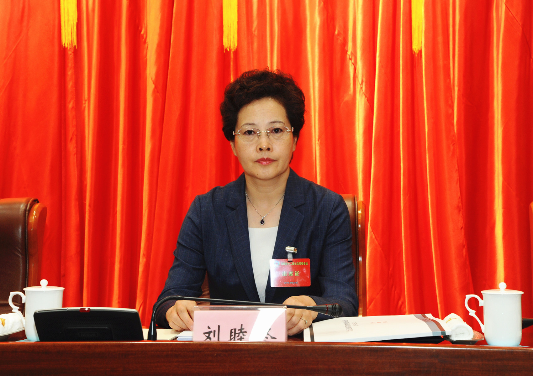9省政协副主席刘睦终出席会议.JPG