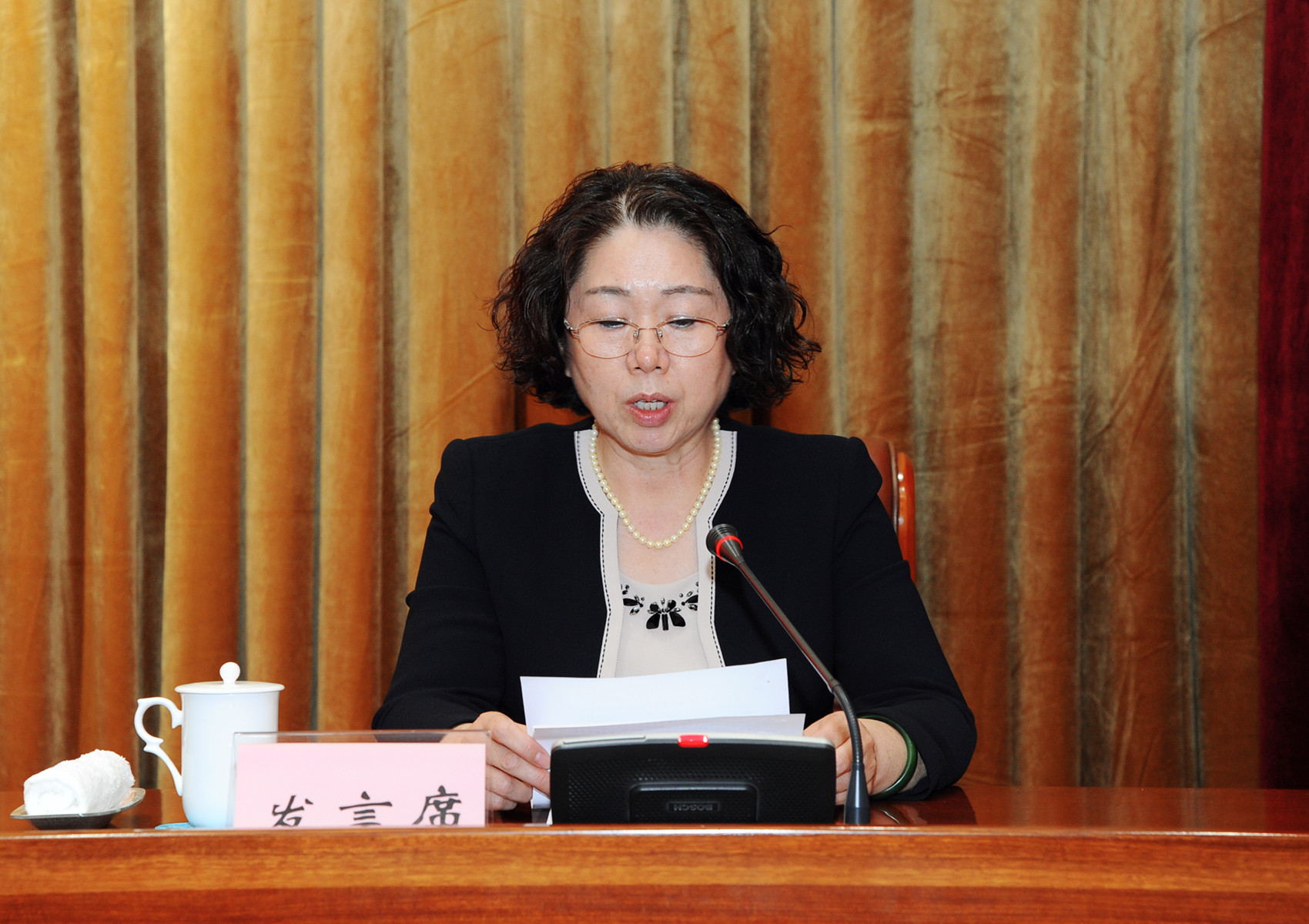 12省政协常委、哈尔滨市政协副主席齐瑶发言.JPG