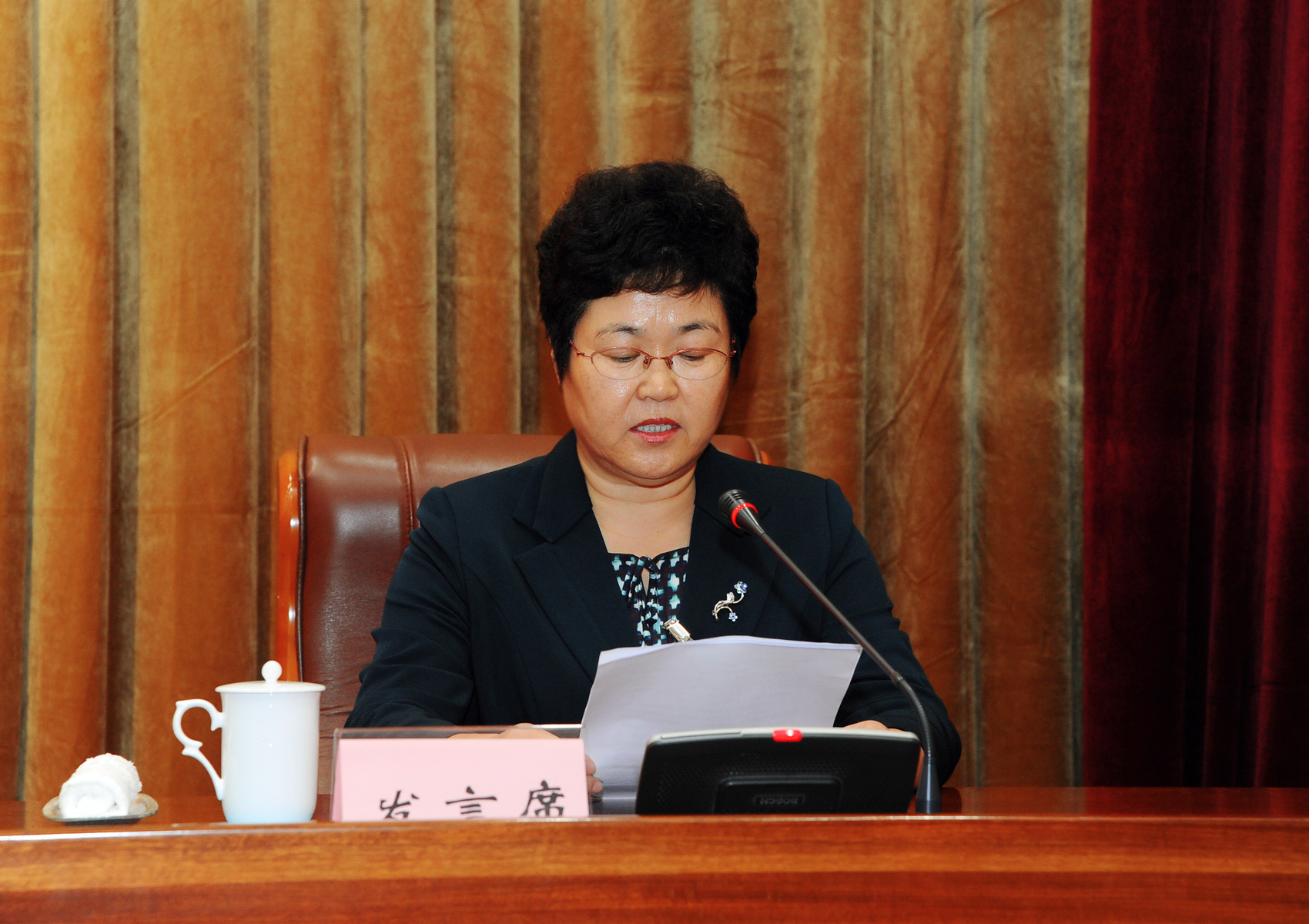 14省政协常委、齐齐哈尔市政府副市长刘艳芳发言.JPG