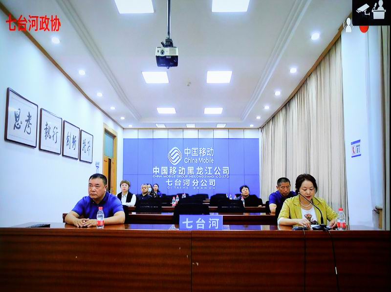 6七台河市政协提案委员会副主任王庆敏发言.JPG