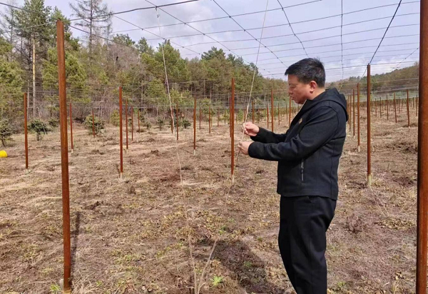 微信图片_20230428140315.png