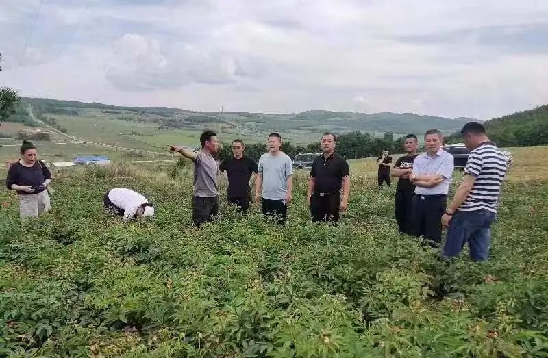 微信图片_20230709180548.jpg