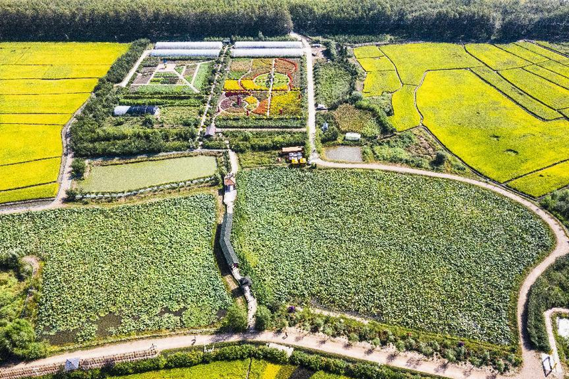 调整大小 3.png 调整大小 3.png