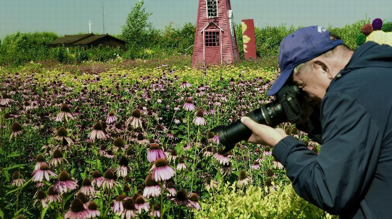 调整大小 4.png 调整大小 4.png