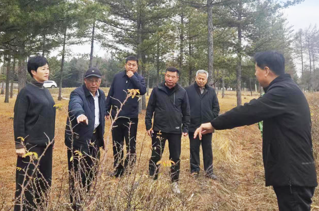 微信图片_20231108110147.png 微信图片_20231108110147.png