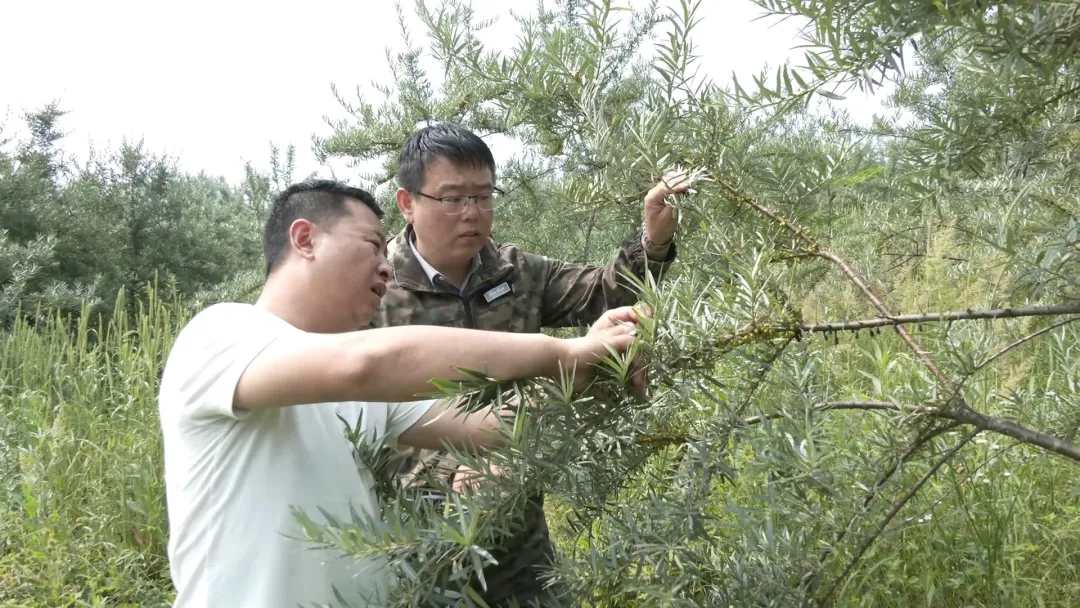 微信图片_20240718140803.png