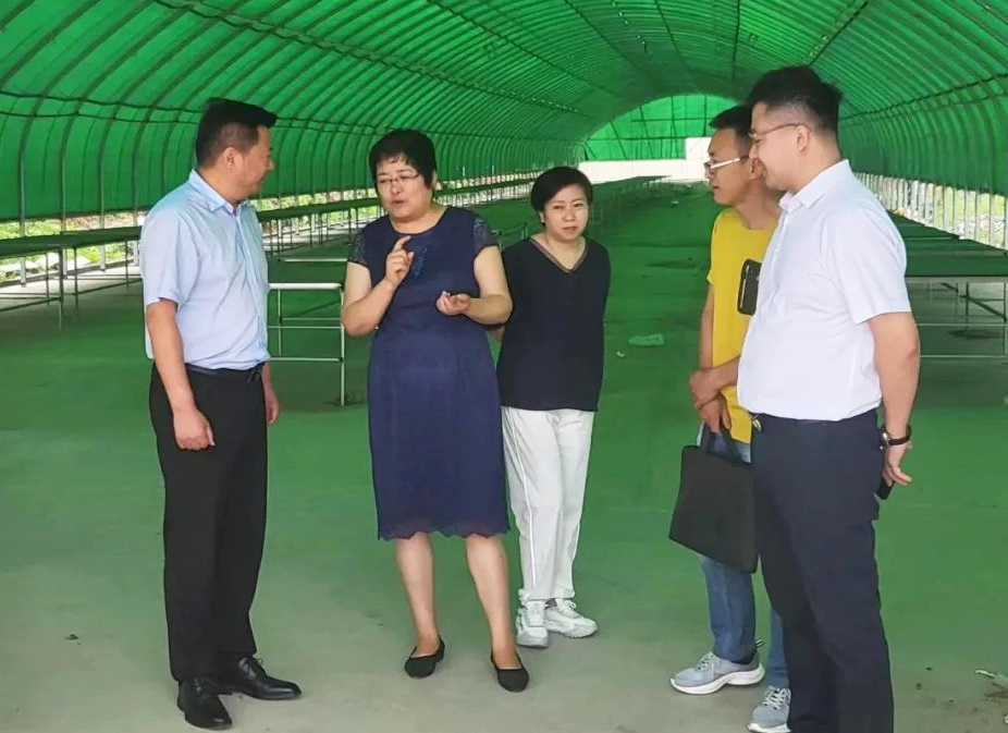 微信图片_20240805145240.png