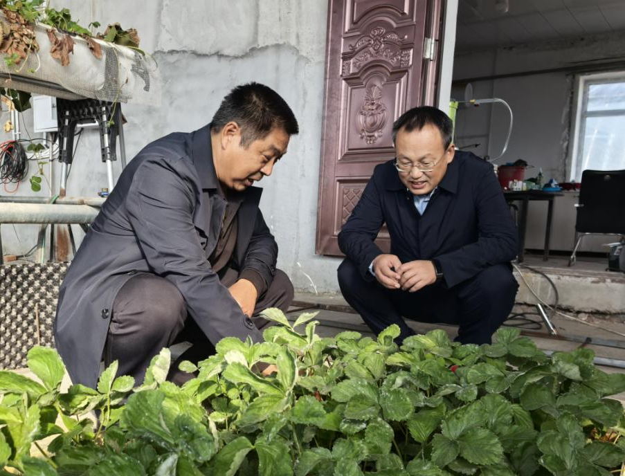 微信图片_20241220111515.png