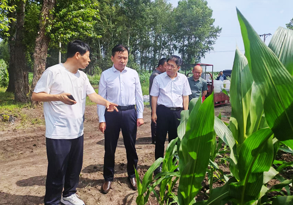 微信图片_20241221151706.png