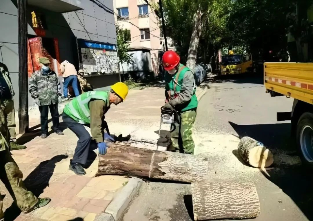 微信图片_20241223151312.jpg