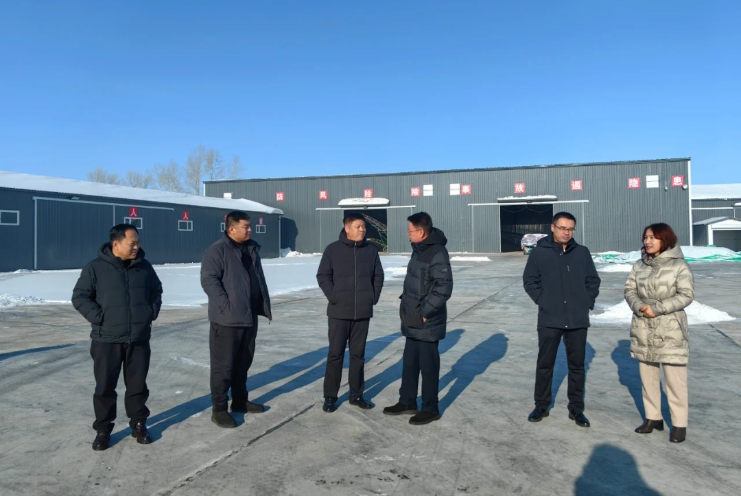 微信图片_20250220105845.png