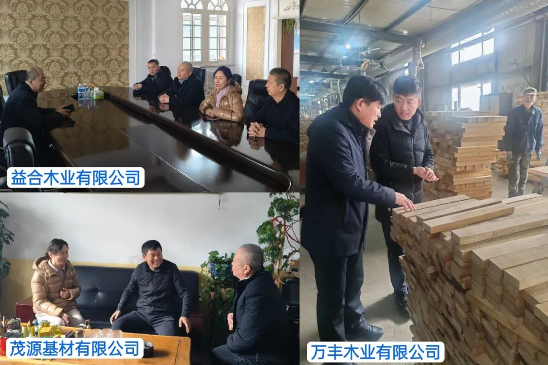 微信图片_20250221153553.png