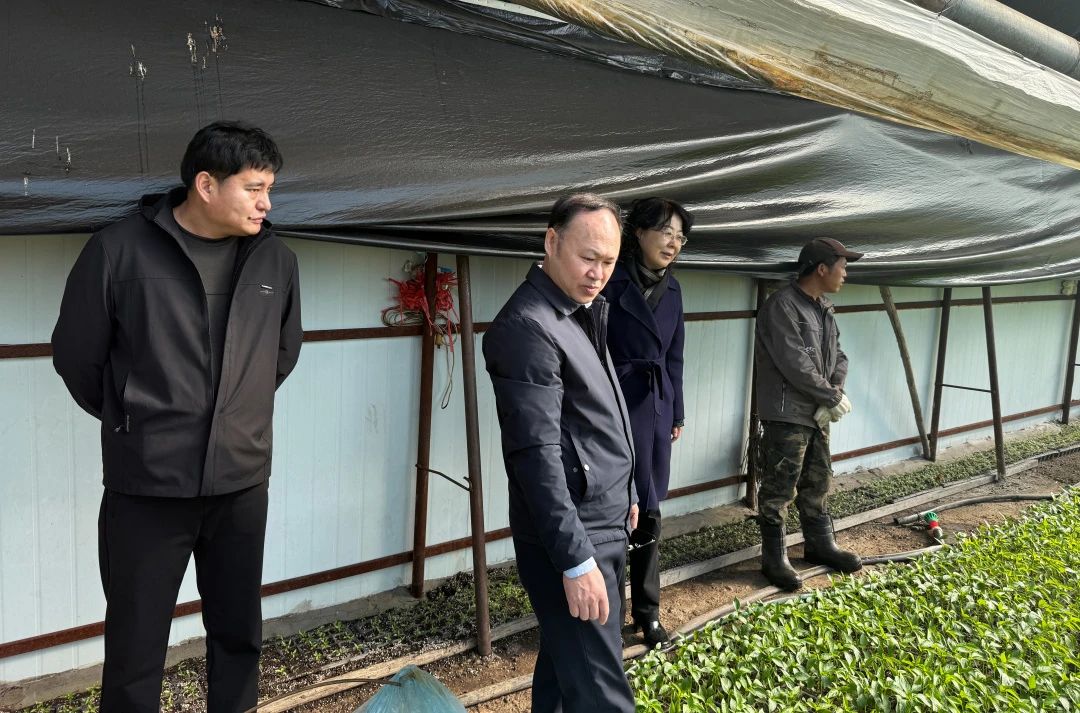 微信图片_20250408105058.jpg 微信图片_20250408105058.jpg