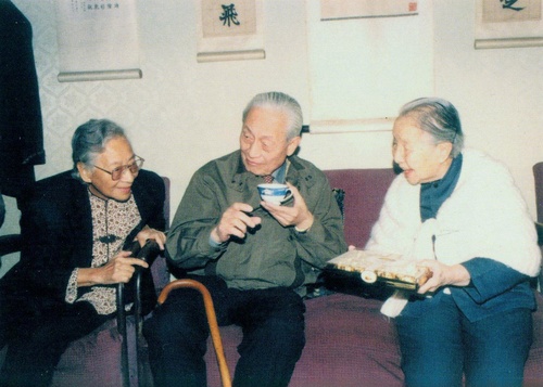 2953372_500x500.jpg