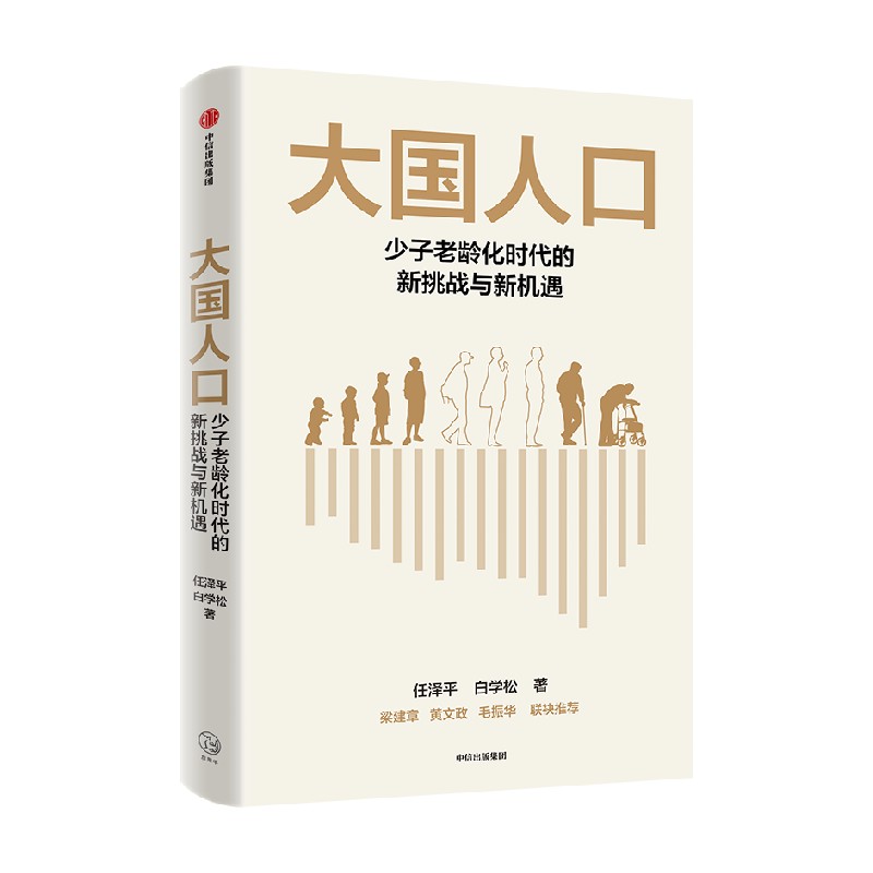 《大国人口：少子老龄化时代的新挑战与新机遇》.jpg