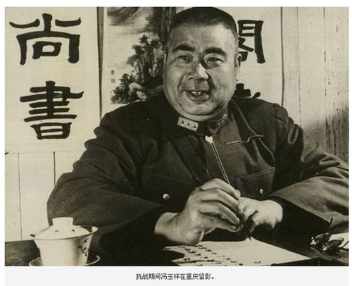 2954639_500x500.jpg