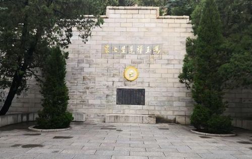 2954640_500x500.jpg