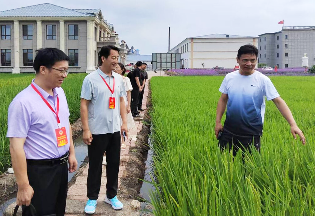 微信图片_20250728111139.png