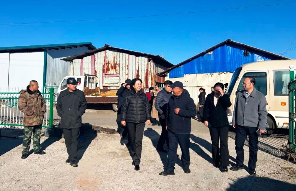 微信图片_2025-10-27_105610_113.jpg 微信图片_2025-10-27_105610_113.jpg