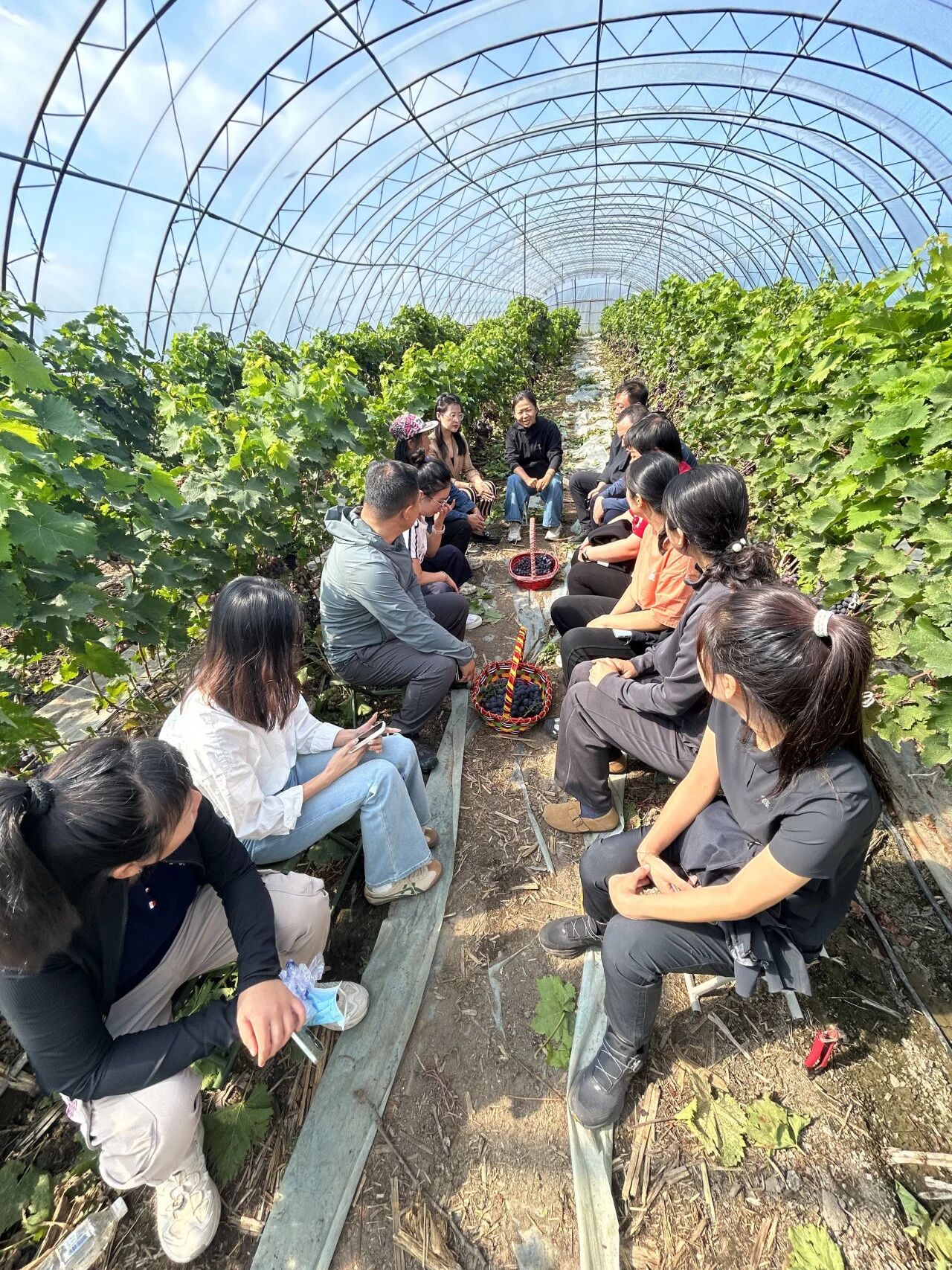 微信图片_2025-10-21_112146_911.jpg 微信图片_2025-10-21_112146_911.jpg