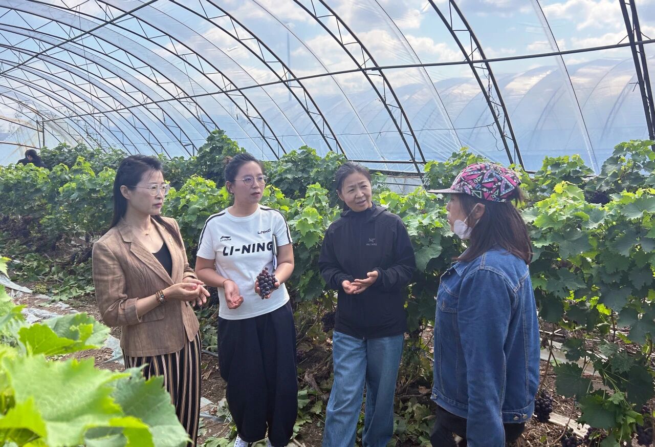 微信图片_2025-10-21_112149_544.jpg 微信图片_2025-10-21_112149_544.jpg