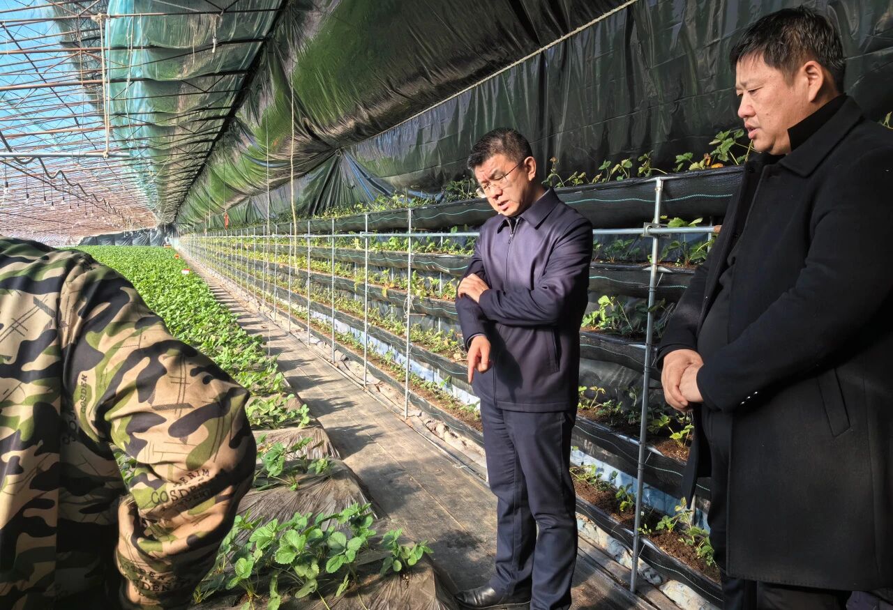 微信图片_2025-11-17_092747_190.jpg 微信图片_2025-11-17_092747_190.jpg