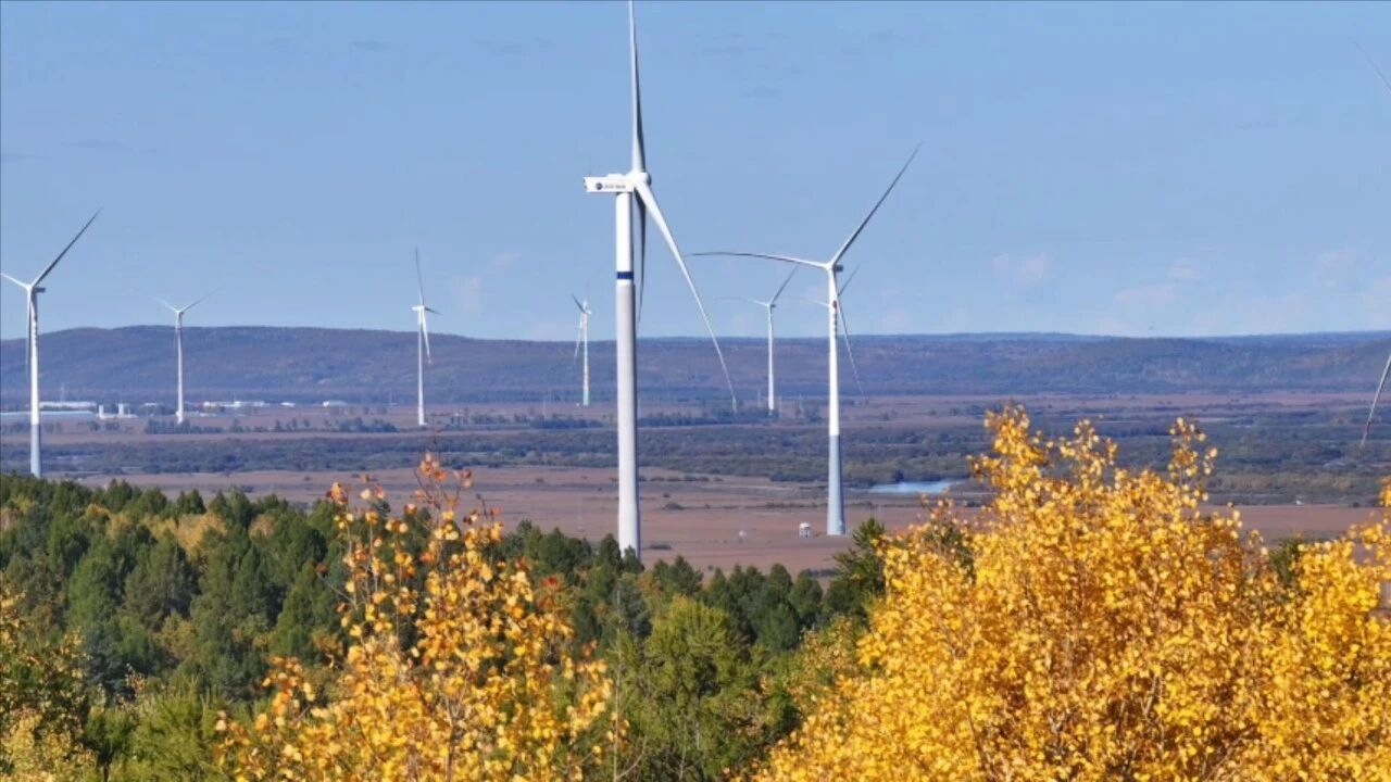 微信图片_2026-01-12_100105_338.jpg 微信图片_2026-01-12_100105_338.jpg