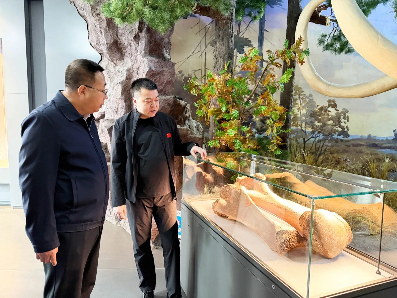 微信图片_2026-10-10_111047_696.jpg 微信图片_2026-10-10_111047_696.jpg