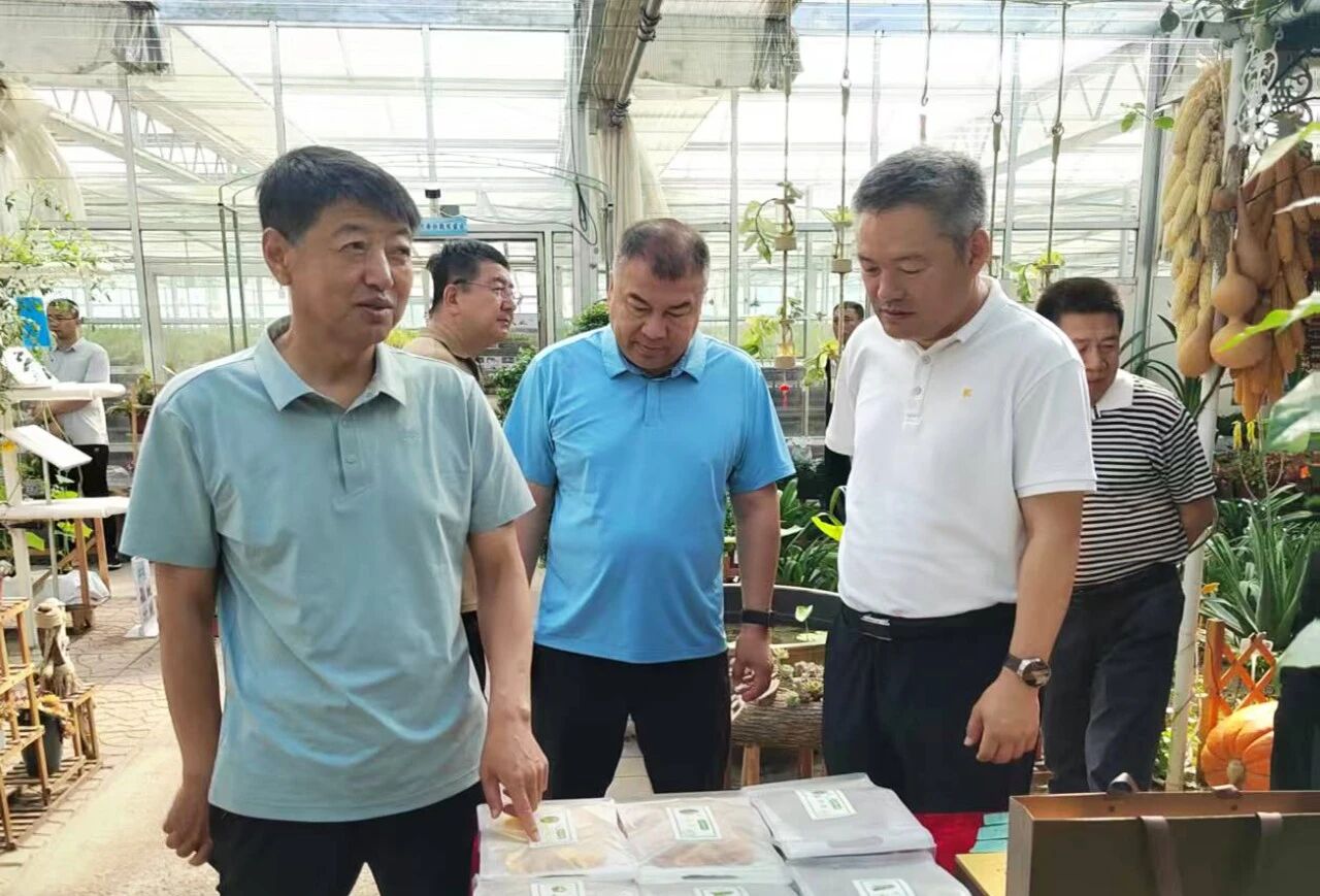 微信图片_2026-03-09_153854_670.jpg 微信图片_2026-03-09_153854_670.jpg