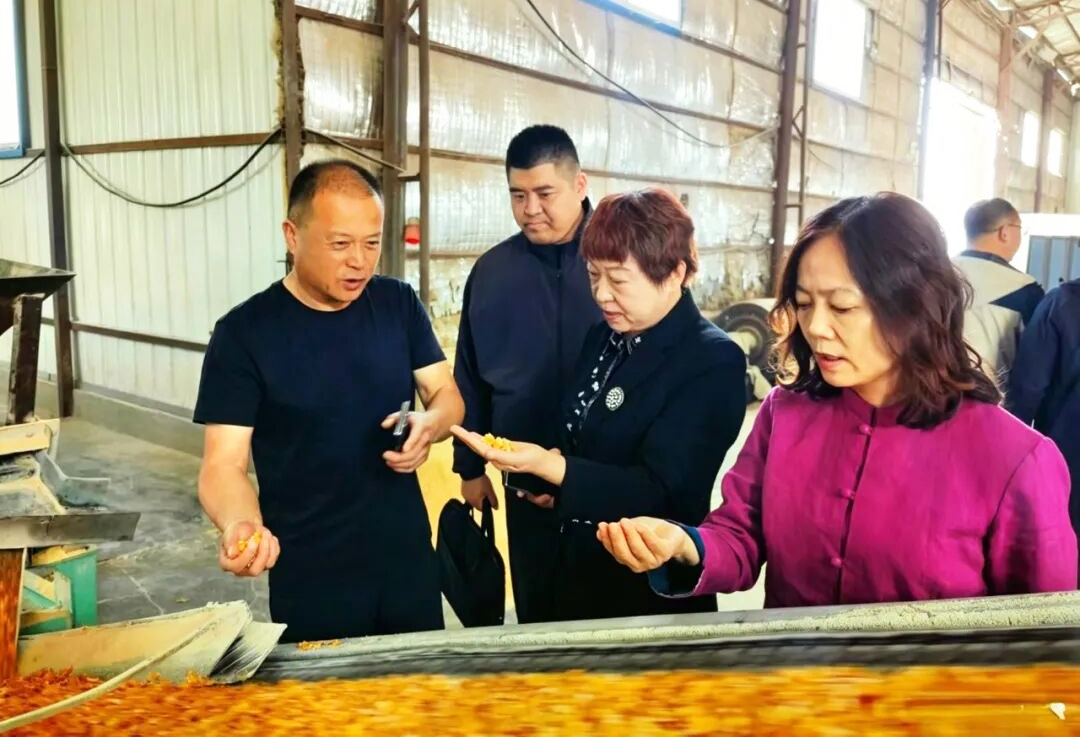 微信图片_2026-05-26_135920_572.png 微信图片_2026-05-26_135920_572.png