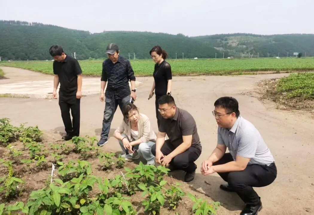 微信图片_2026-07-06_094725_318.png 微信图片_2026-07-06_094725_318.png