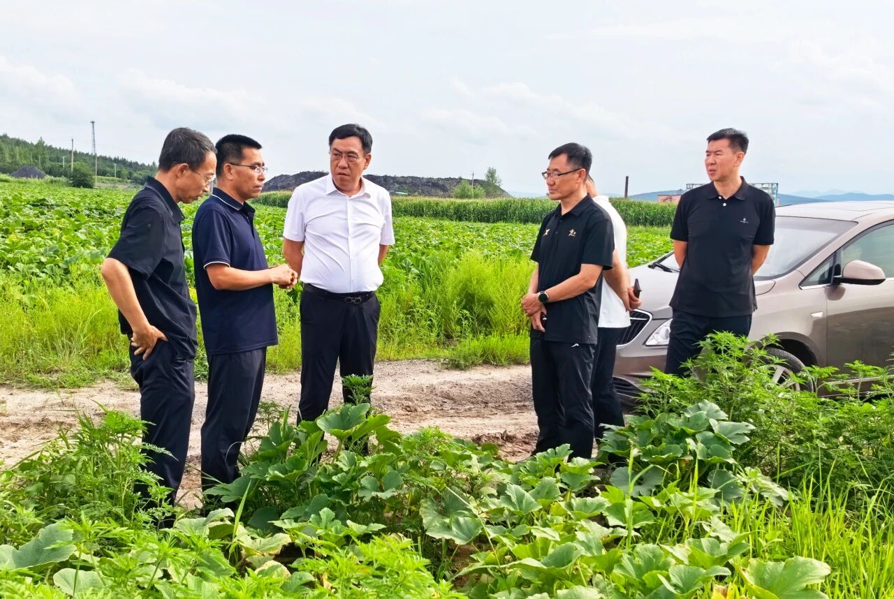 微信图片_2026-08-10_111048_434.jpg 微信图片_2026-08-10_111048_434.jpg