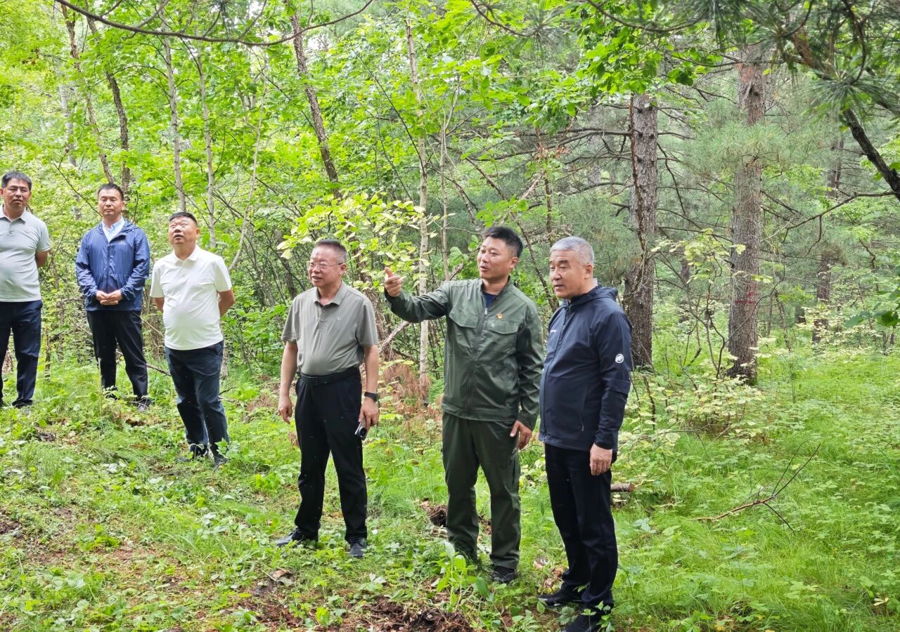 微信图片_2026-08-07_141747_645.jpg 微信图片_2026-08-07_141747_645.jpg