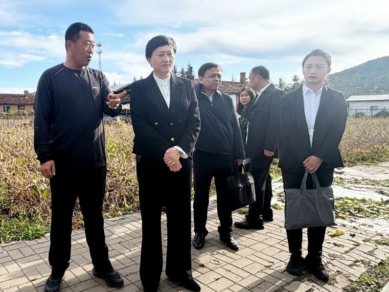 微信图片_2026-09-30_113023_241.jpg 微信图片_2026-09-30_113023_241.jpg